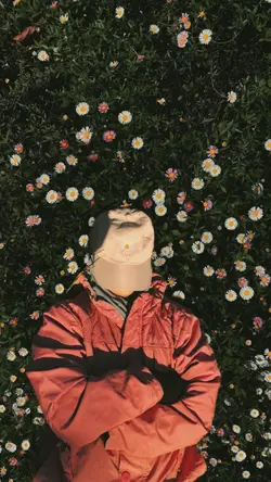 latar belakang daisy