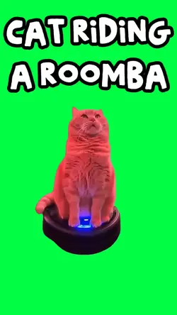 CAT RIDING A ROOMBA