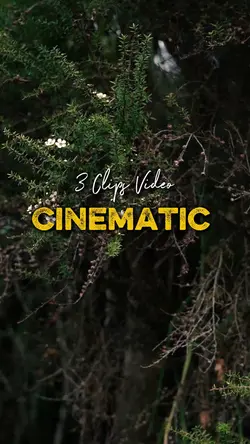Cinematic 3 Video 