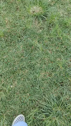 1 klip hd video foto