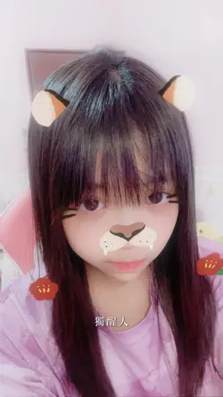 伯虎說兩張照片模板