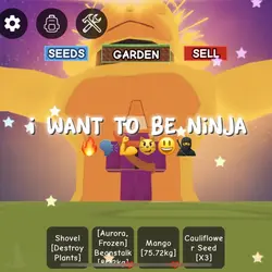 I WANT TO BE NINJA 🥷