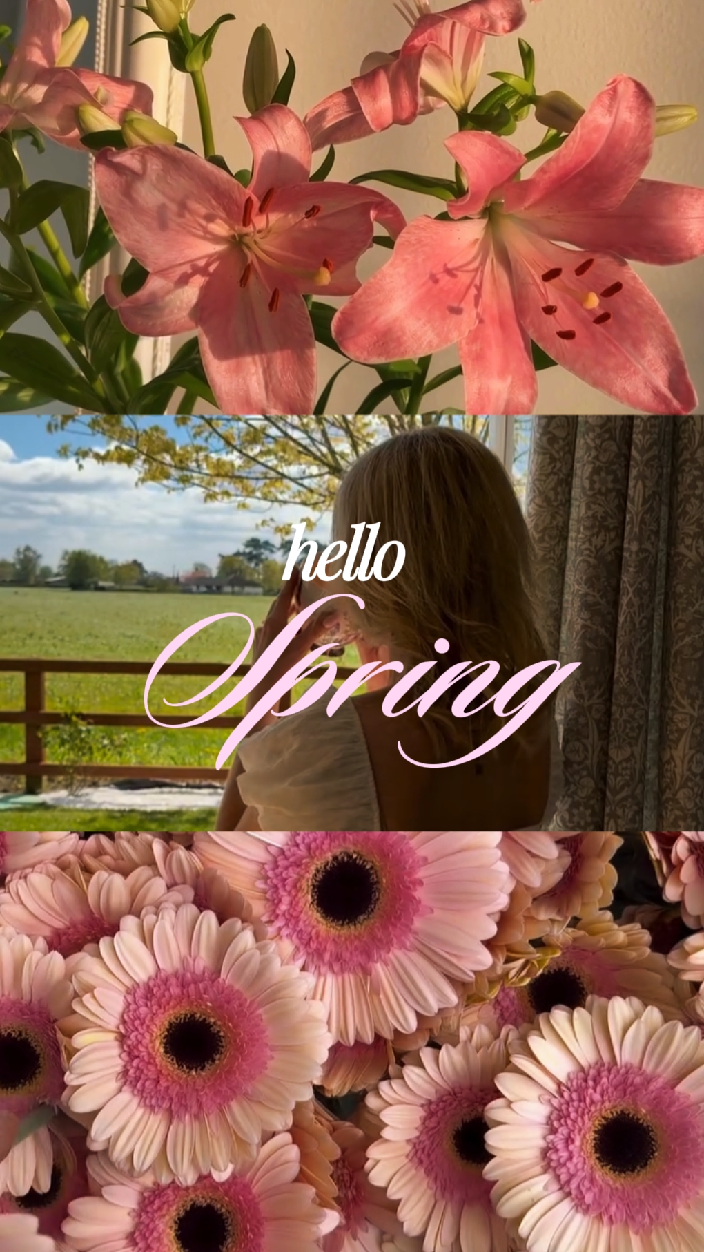 Hallo Frühling 2026