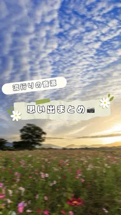 写真32枚
