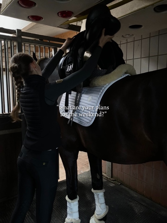 Wochenpläne Reiten
