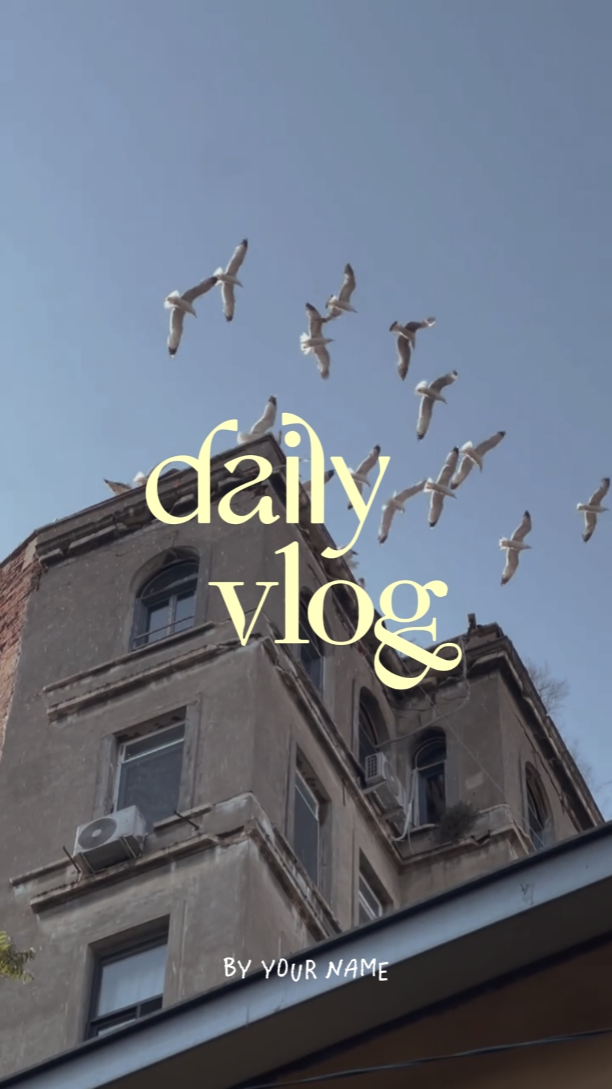 Minivlogs 
