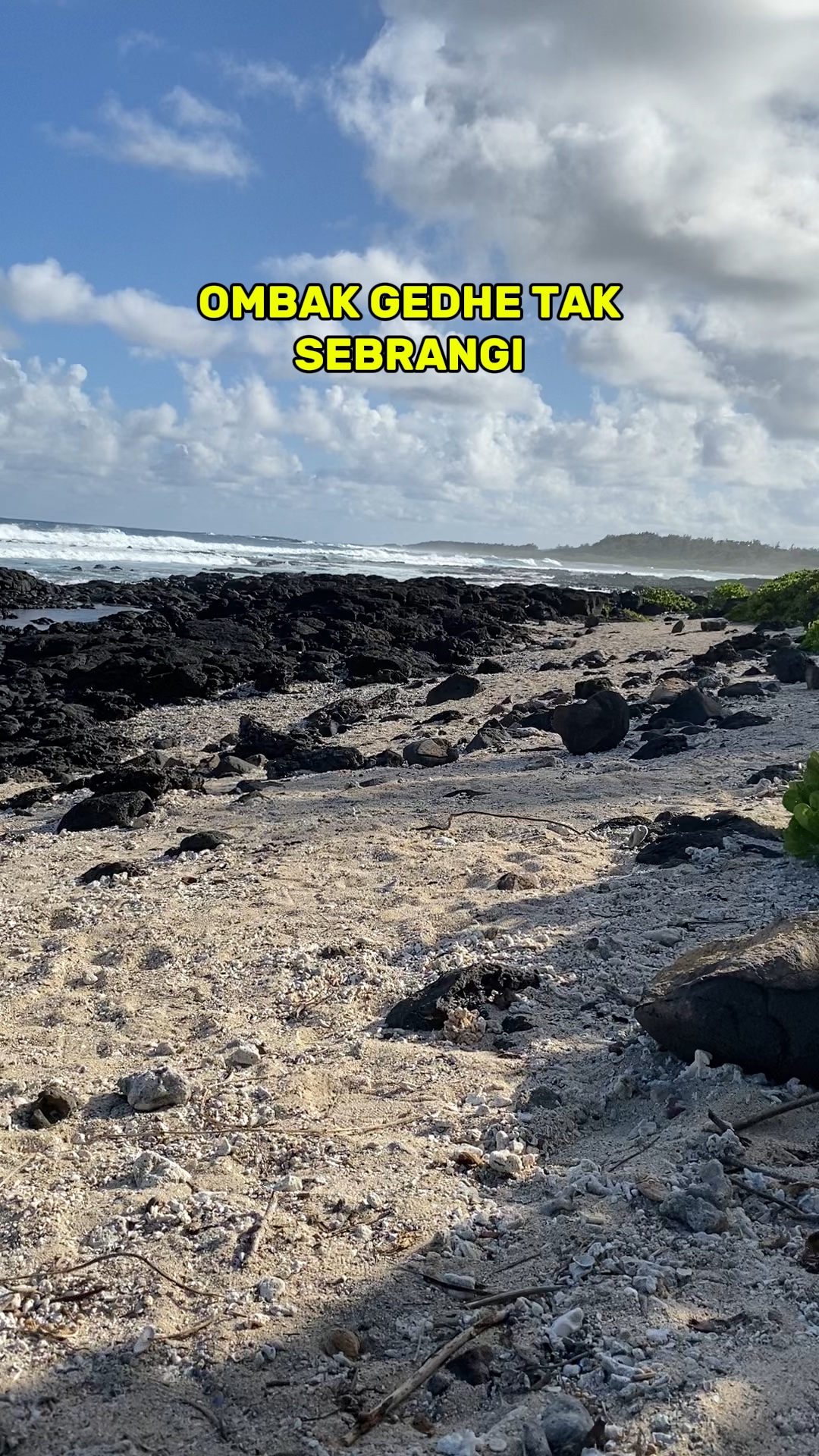 SEKTI KOPLO 🔥
