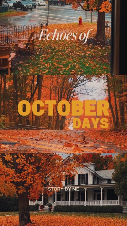 October recap 🇺🇸🍂