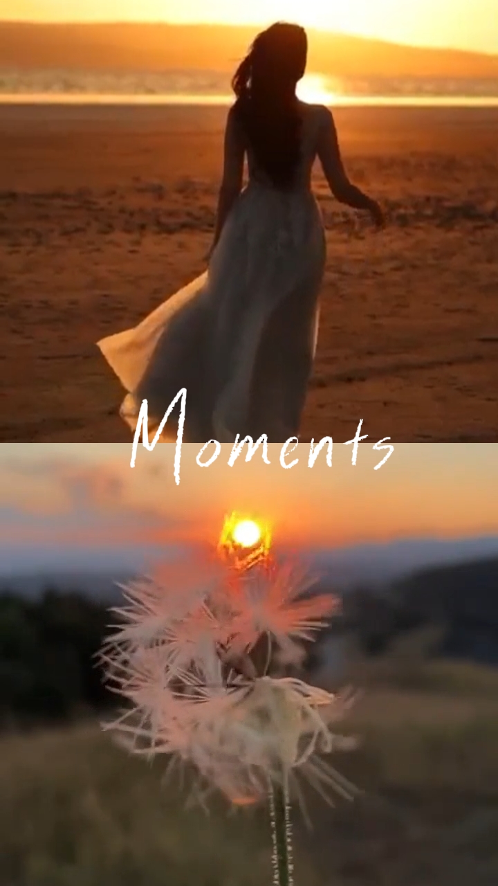 Beautiful Moments 
