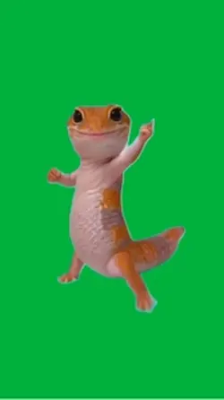 Lizard