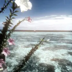 𓄳 ֹ ͏    ⊹   𓎆⠀.   𓂅  