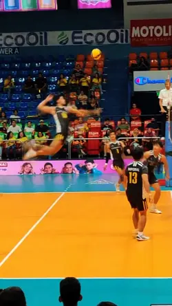 VOLLEYBALL HIGHLIGHT