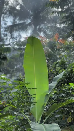 TREND Ngapain Repot