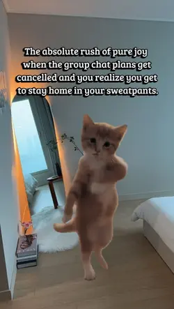 plans get cancelled
