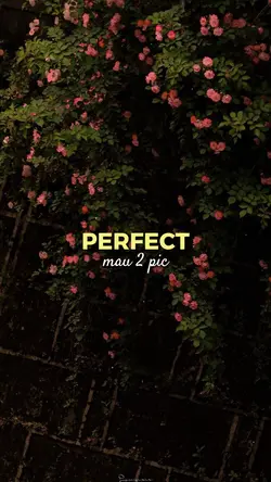 BAO NHIÊU ĐAU THƯƠNG