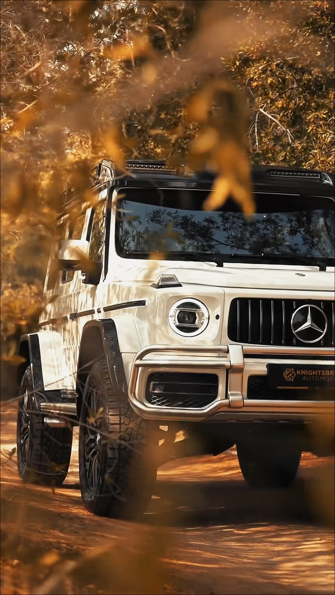 - EDICIÓN DE BENZ - COCHE -