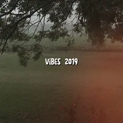 Vibes 2019
