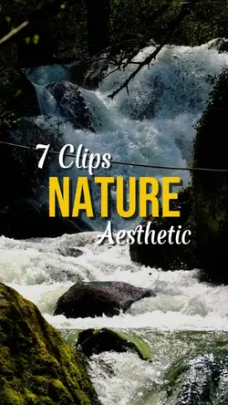Nature Aesthetic 