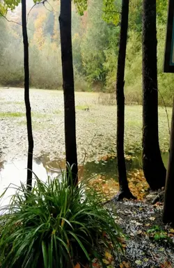 göllerin sesizliği