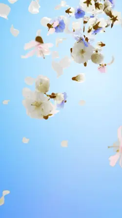 flowers portrait ²³