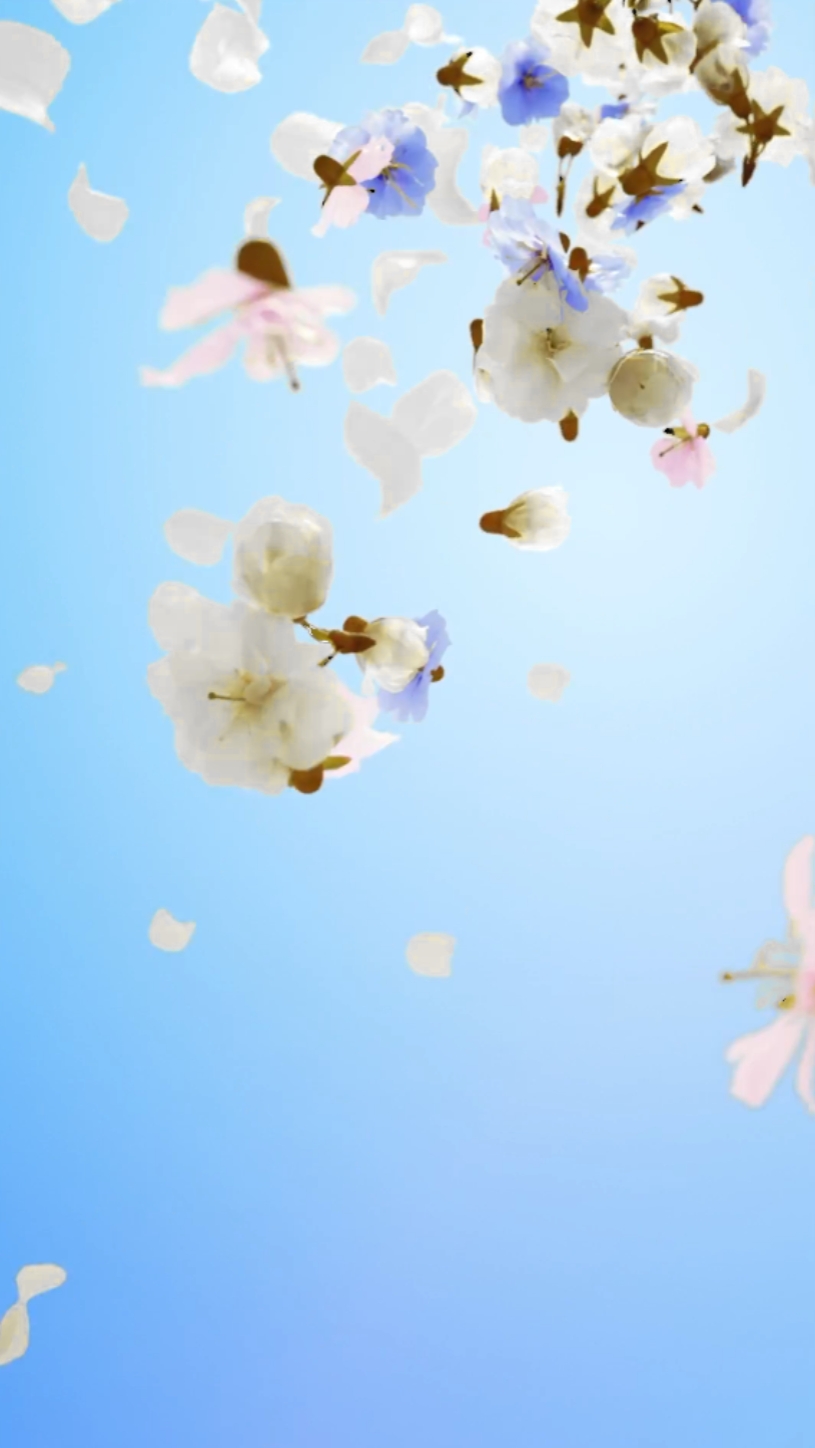 Blumenporträt ³