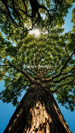 nature therapy