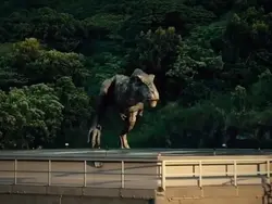 risada do Dino 