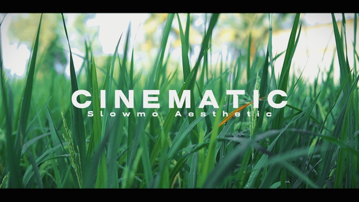 Estética Cinemática 