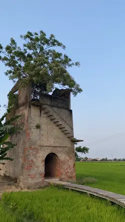 Nhiều video