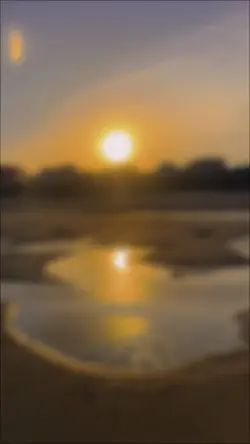 🌅Hoàng hôn🌅