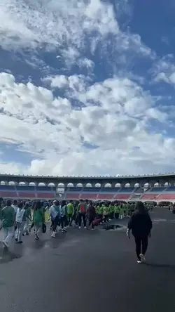 Palarong Panlalawiga