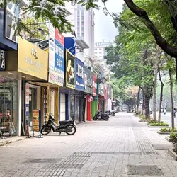 Nhìn kìa,một con chó