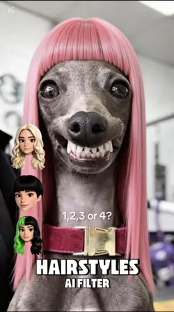 4 HAIRSTYLES FILTER