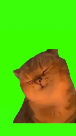 Yapapa Cat meme