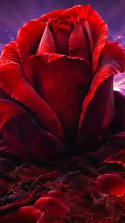 Red Passion
