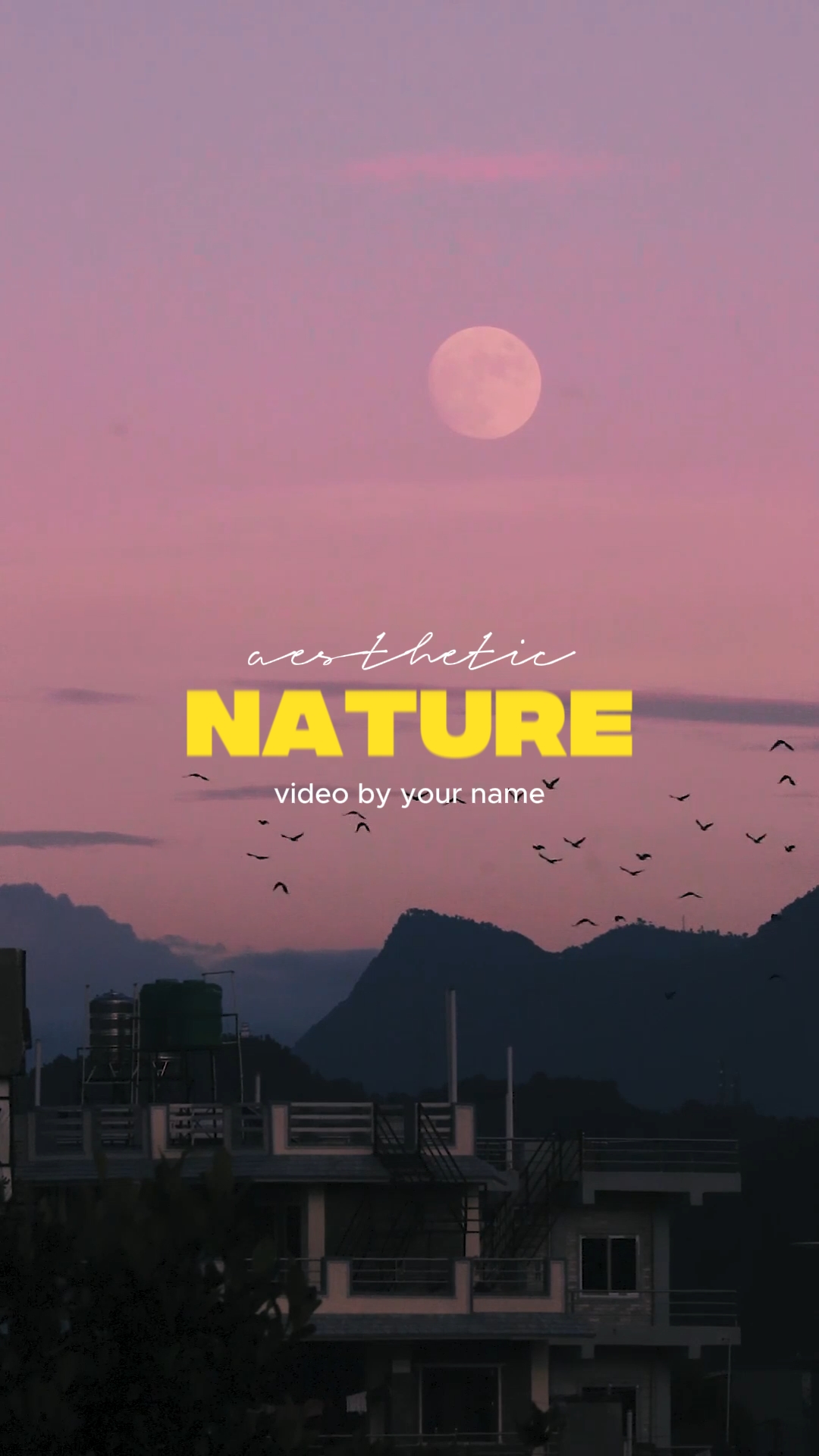 Naturaleza estética