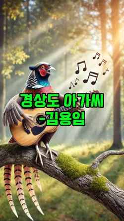 경상도 아가씨