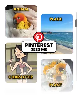 How Pinterest sees