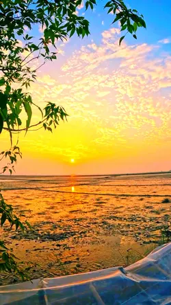 HD + Nature Filter