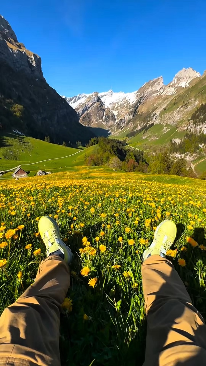 7 video nature 