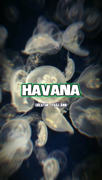 LA HAVANE