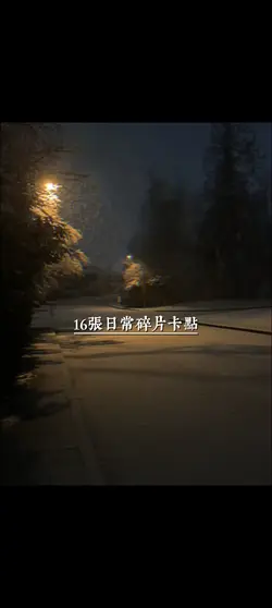 16張日常碎片 可我在16歲遇到了你