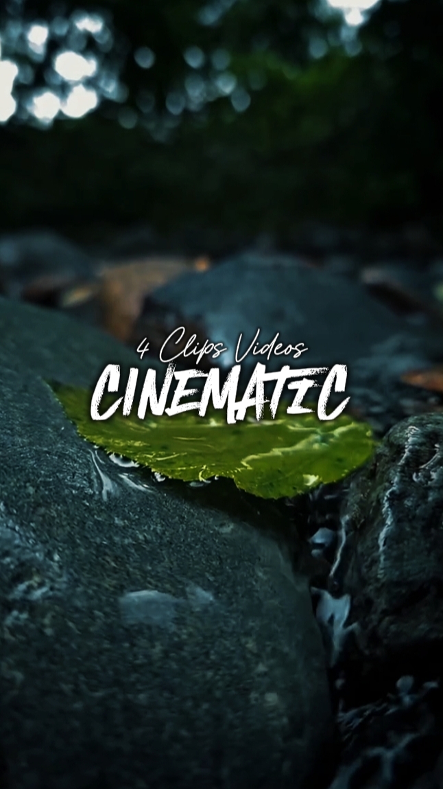 4 Clips Videos