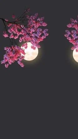 قران كريم 🤍🎧