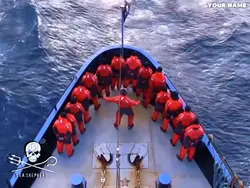 Sea shepherds