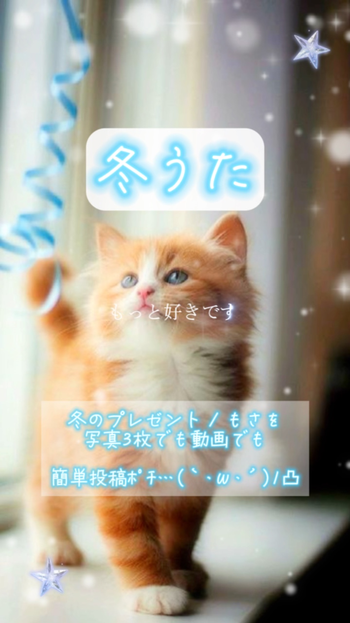 冬のプレゼント/もさを