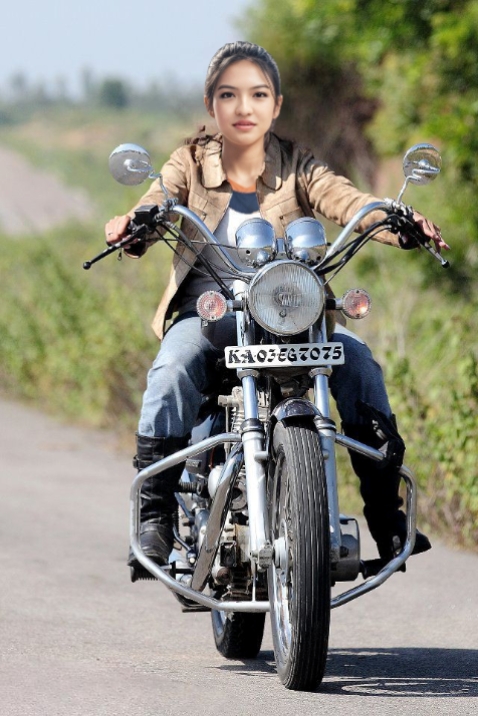 Harley Davidson 