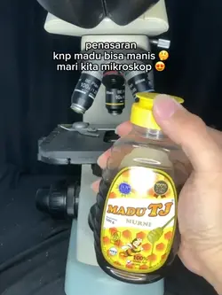 mikroskop madu 🙂↕️
