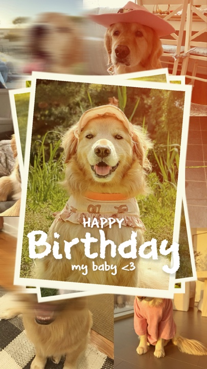 Cumpleaños Mi Mascota