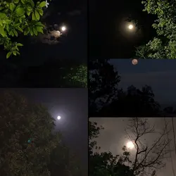 Moon